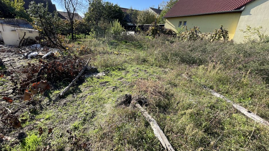 Casa de vanzare zona Mehala-Cetatii - Poză 13