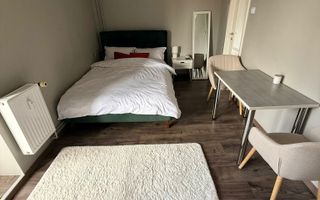 Apartament 1 cameră,  zonă Centrală, Piata Mihai Viteazul - Poză 5