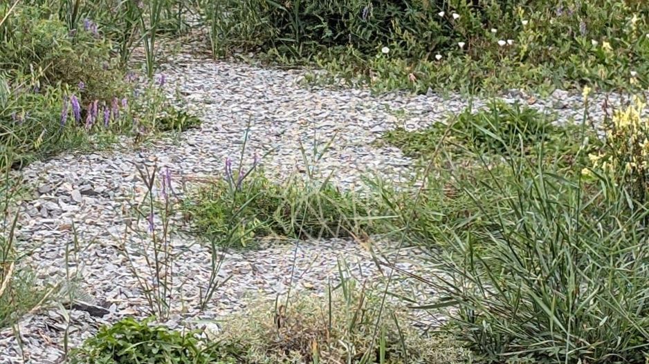 Teren intravilan 500 mp cu utilitati-ideal casa-Bistrita Bargaului - Poză 3