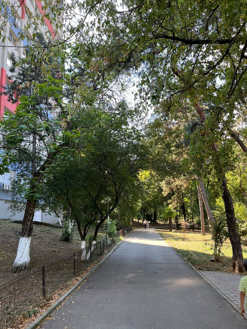 3 camere | Floreasca | Dorobanti | Beller renovat utilat - Poză 22