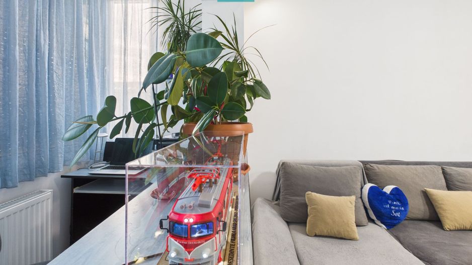 Apartament 2 camere, decomandat în Gradiște, Arad - Poză 11