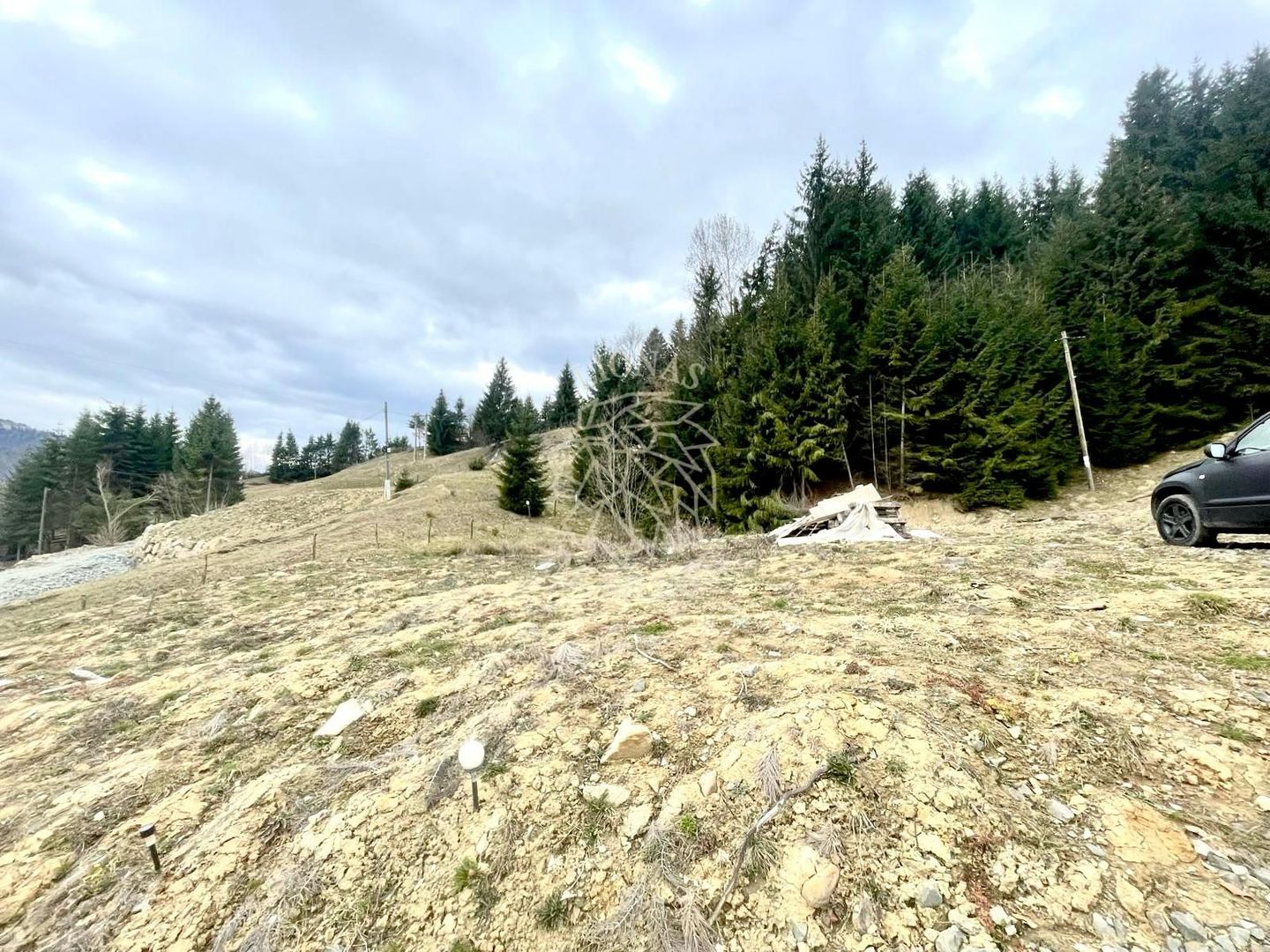 Teren intravilan 3039 mp-Parcelabil-ponton-Colibita Exclusiv - Poză 3