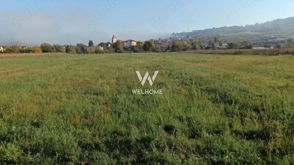 Teren intravilan de vânzare – suprafață totală 3.800 mp GUSTERIRA - Poză 1