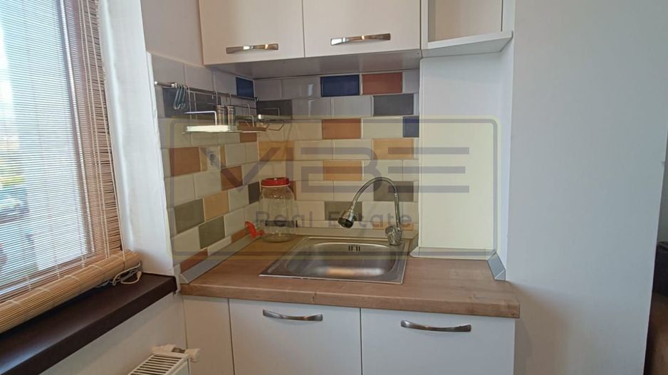 Garsoniera - 250 euro - Vișan ! - Poză 4