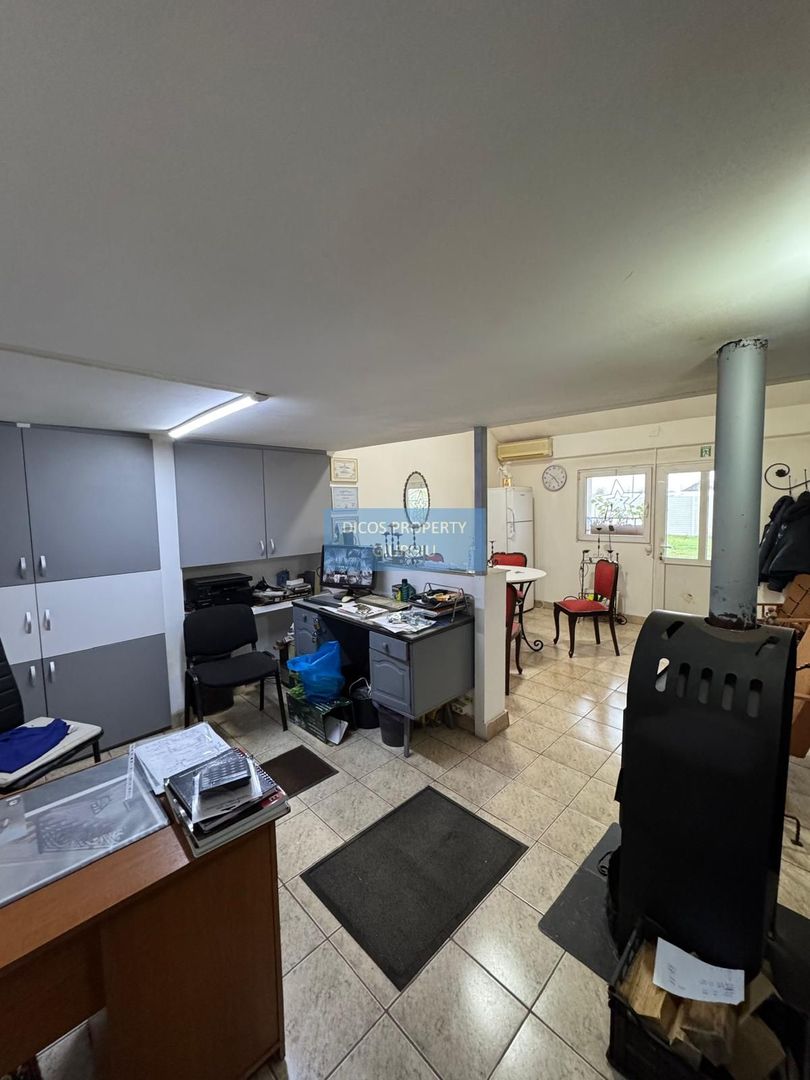 Proprietate industrială de vânzare sau închiriere – Comuna Frătești - Poză 4