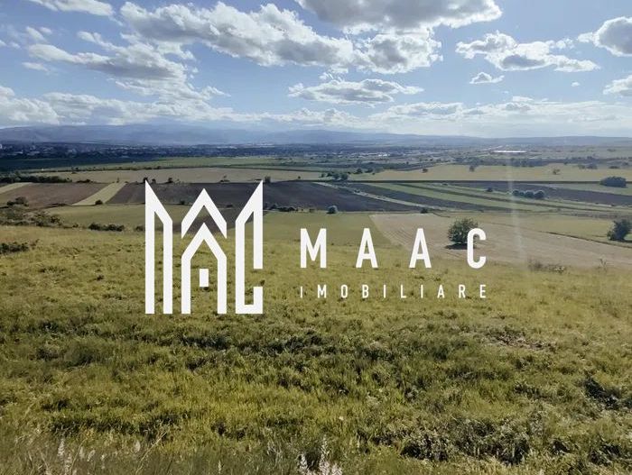 Teren Extravilan - Gușterița, Sibiu - 4600 mp - Poză 1