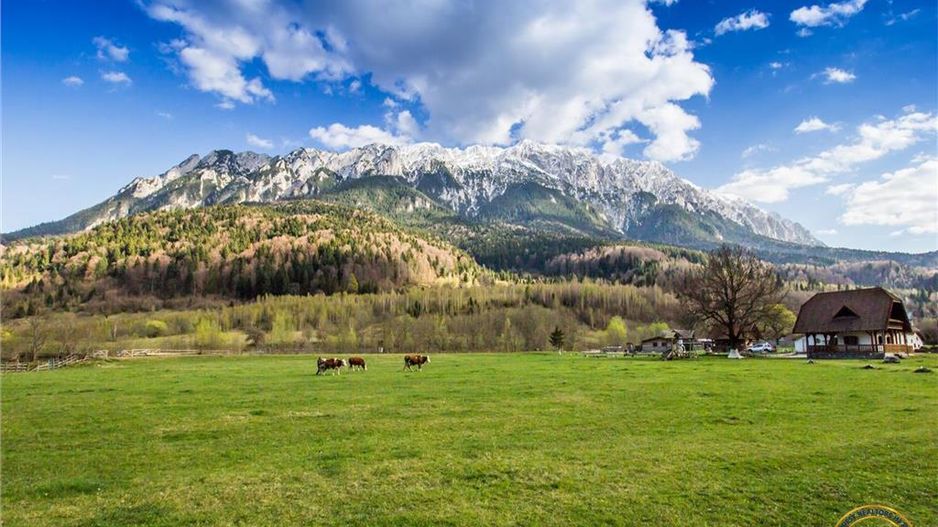O noua poveste in fiecare zi,dezvaluita de pesiajul mirifc catre Piatra Craiului - Poză 3