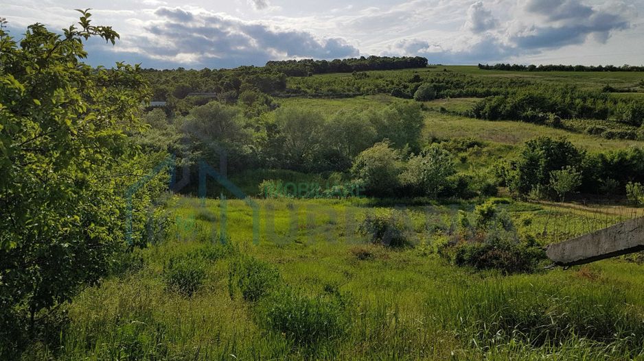 Teren intravilan de vanzare, Chicerea, 1600 mp - Poză 2