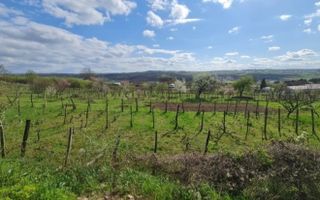 Teren de vânzare în Paleu – 1.107 mp, vis a vis de lac - Poză 2
