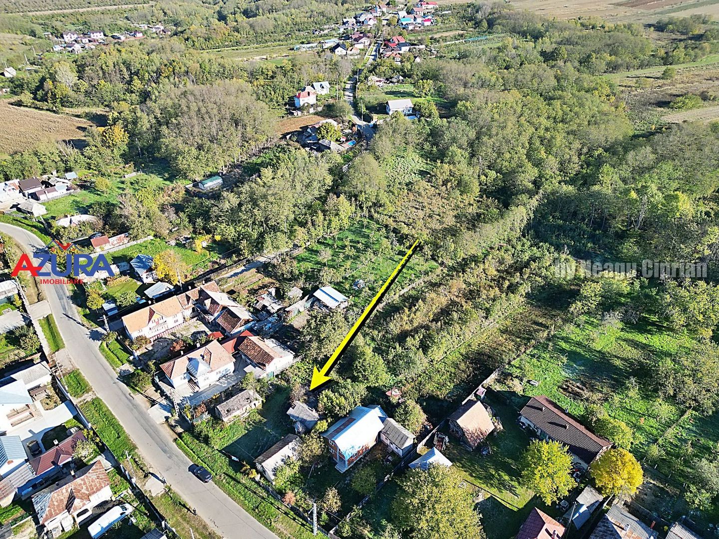 Vanzare teren 3300 mp, intravilan, Albota - Mares - Poză 11