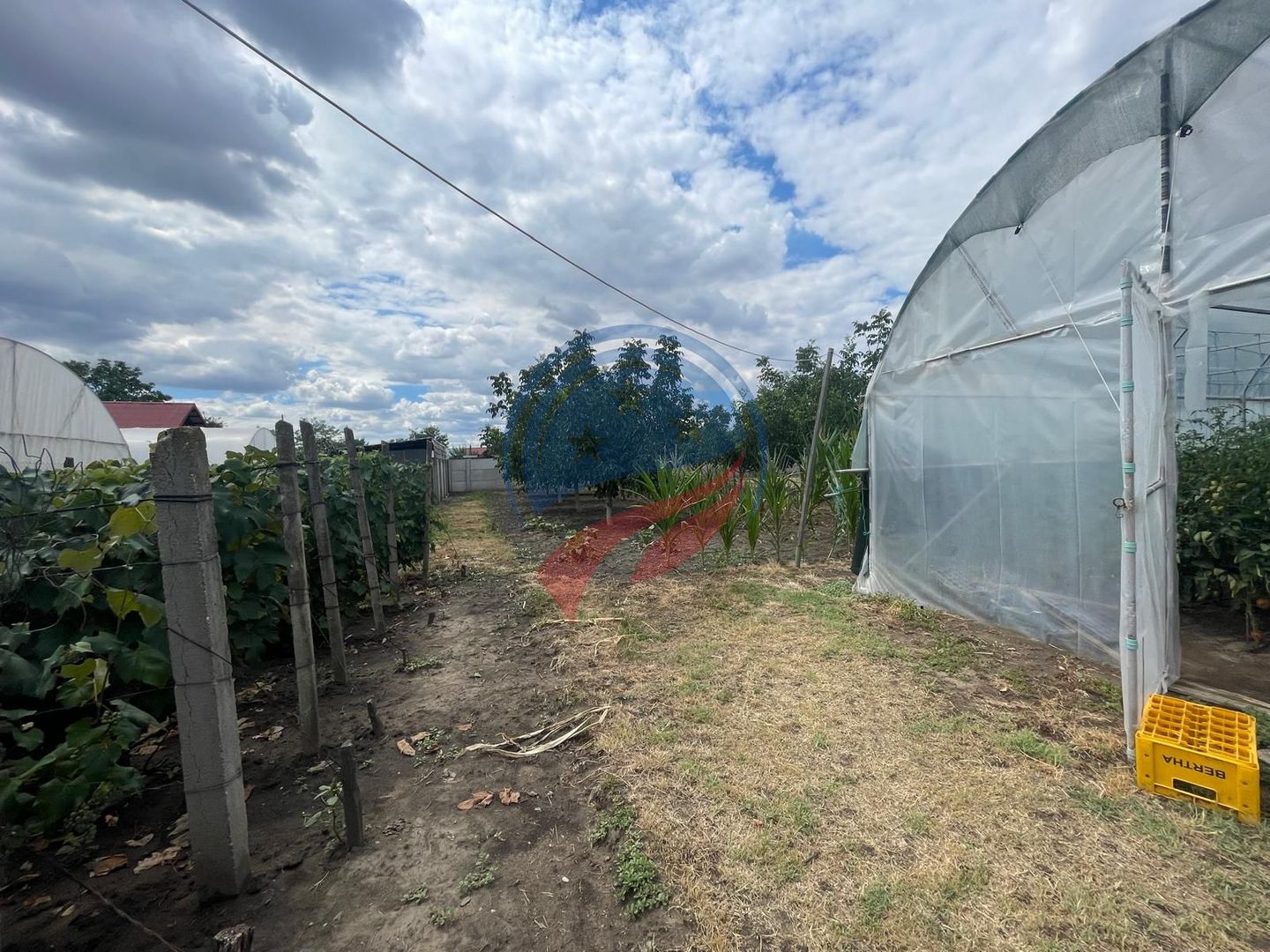 Casa in localitatea Zanoaga- Dolj - Poză 5