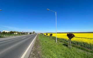 | OPORTUNITATE | DE VANZARE TEREN BRANESTI 41.317 mp DESCHIDERE 85 m - Poză 5