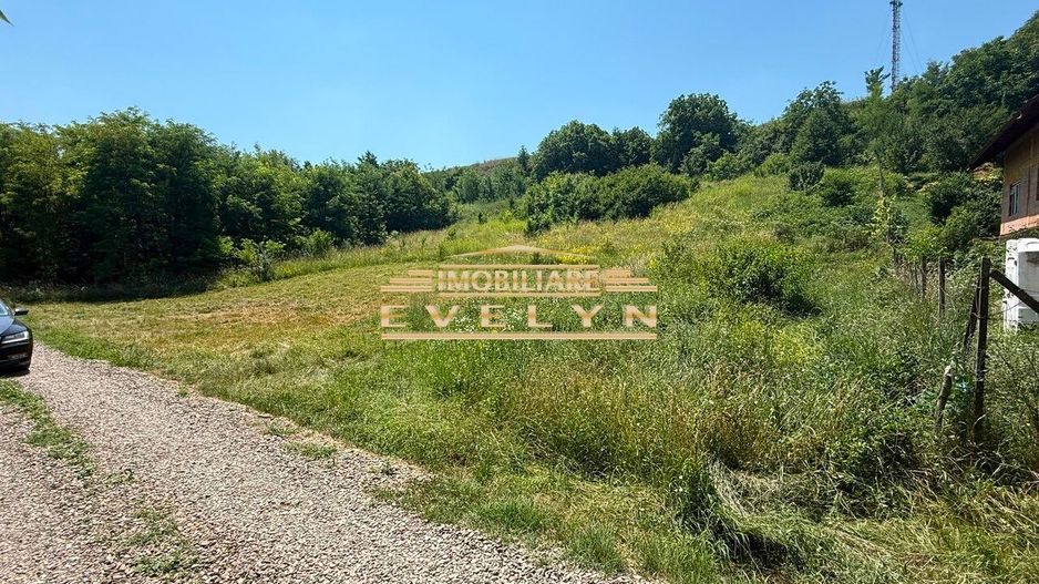 Teren intravilan 3.667 mp de vânzare – Str. Cismea, Botoșani - Poză 3