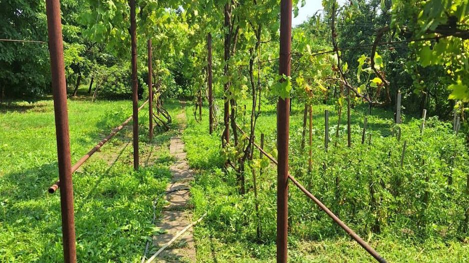 Casă cu teren generos de 1642 mp de vânzare în oraș (Zona Dâmbovița) - Poză 4