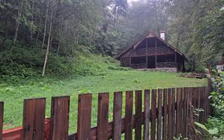 Paradis pe Transalpina in Sugag - Poză 23