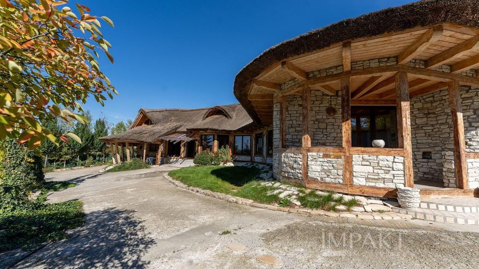 De vanzare casa unica pe teren de 3400mp, cu iaz si gradina - Borhanci - Poză 15