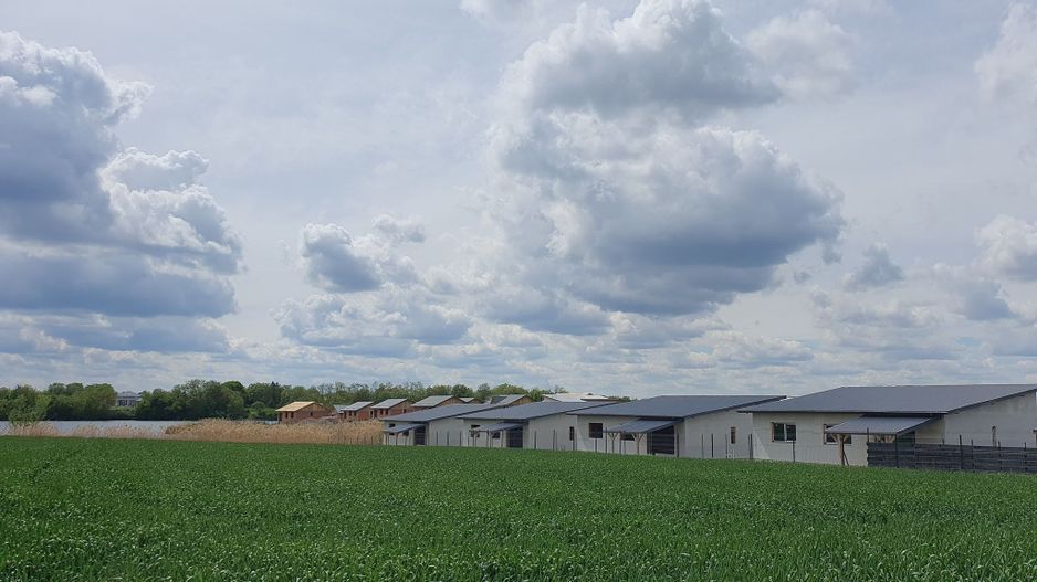 Case noi și ieftine, pe lacul Crevedia. - Poză 1