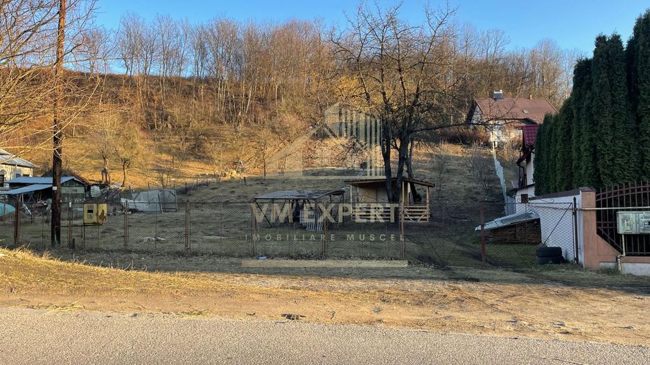 TEREN INTRAVILAN 700 MP VISOI CAMPULUNG - Poză 3