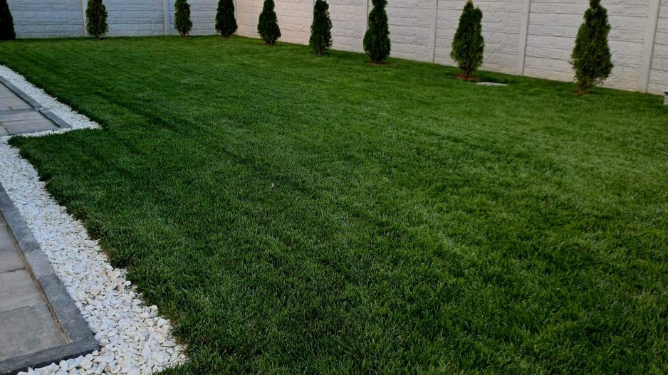 Comisiom 0% Vila 2022  teren 1000 mp Ciorogarla - Poză 41