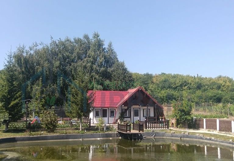 Cabana de închiriat în Iași, la 10 minute de centru - Poză 6