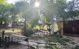 Casa 61 mp + 4000 teren - BABDIU - Poză 2