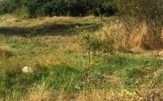 Teren intravilan 1.433 m.p. in Lunca, jud. Tulcea - Poză 2