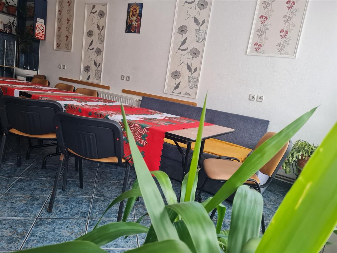 In regiune pitoreasca, cu view montan, Moeciu de Jos, Bran, Brasov - Poză 37