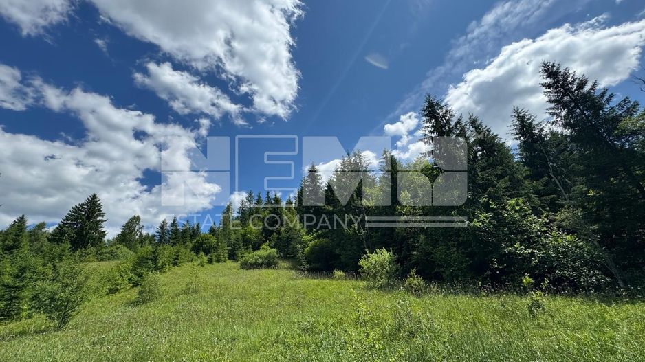 TEREN EXTRAVILAN DE VANZARE | CAMPULUNG MOLDOVENESC | 258.720€ - Poză 1