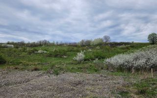 Teren intravilan 18.000 mp, Ciurea – Iași | 13 €/mp | 40 m front stradal la asfalt | Utilități - Poză 7