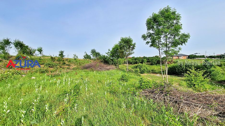 AZURA Imobiliare - Teren Prundu Valea Geamana 700 m de Parc - Poză 5