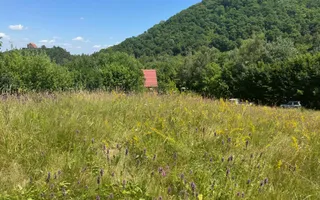 Teren intravilan 4600mp - 55 EUR/mp - EXCLUSIVITATE CISNADIOARA - COMISION 0% - Poză 13