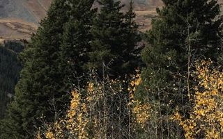 Casa deosebita in zona semicentrala - Poză 3