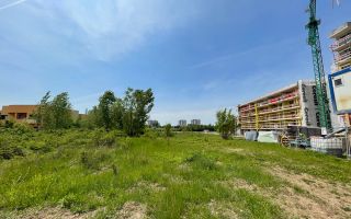 5000 mp teren superb cu deschidere lac Baneasa 30 metri - Poză 4