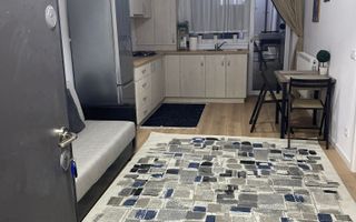 NOU  APARTAMENT 2 C OPEN SPACE BUCIUM VISAN - Poză 18