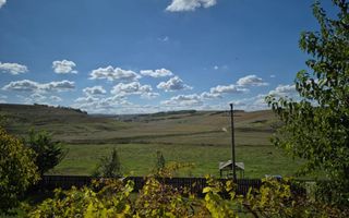 Casă cu anexe și teren de 25 de ari, Buznea, Târgu Frumos, Iași - Poză 4