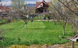 Teren 600mp Ciugud, Strada Iluminata Public - Poză 1