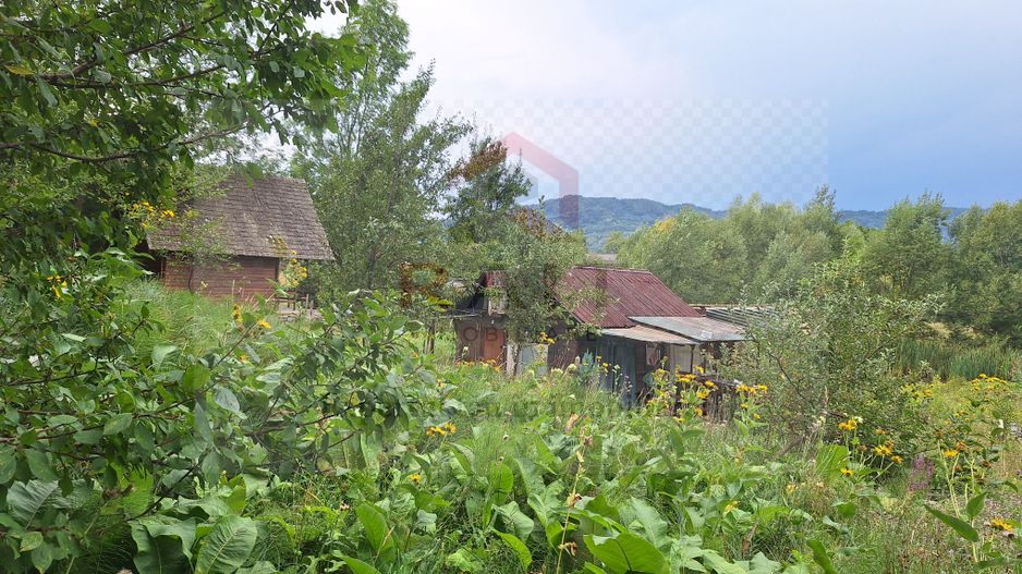 VANZARE ANSAMBLU CASUTE BRADULET ARGES - Poză 11