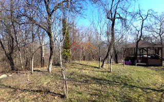 CASĂ INDIVIDUALĂ CU LIVADĂ | 2.195 MP TEREN | POIANA CÂMPINA - Poză 18