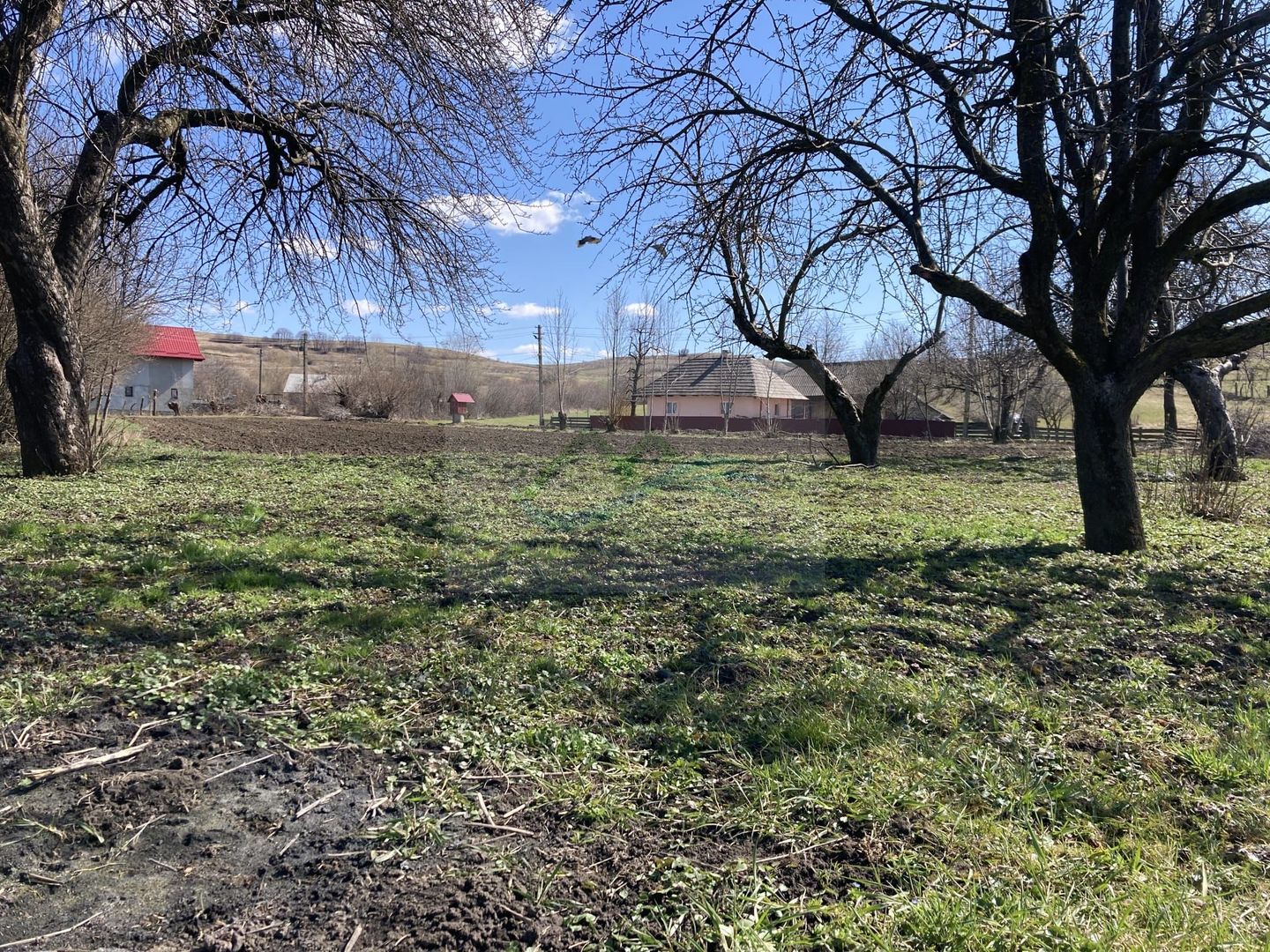 Teren Intravilan 3200 mp de vânzare - Poză 13