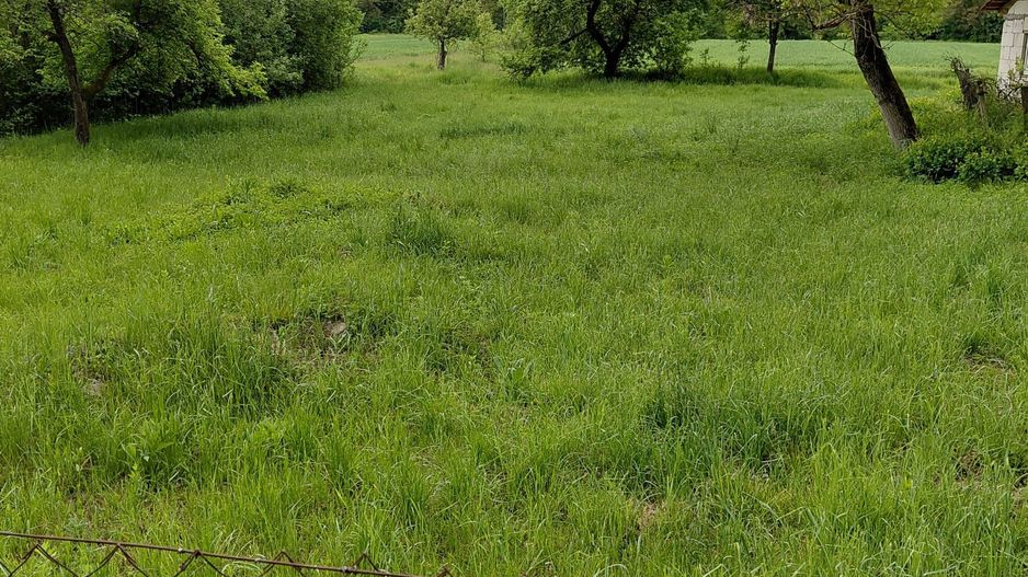 Teren cu acces la râu în Stejar – ideal pentru cabane sau retreat - Poză 4