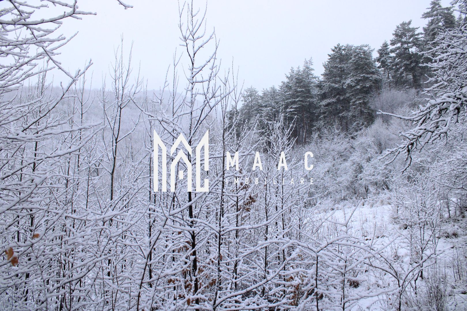 Teren cu izvor de apă minerală  Dangești, Punctul Valea Mare - Poză 31