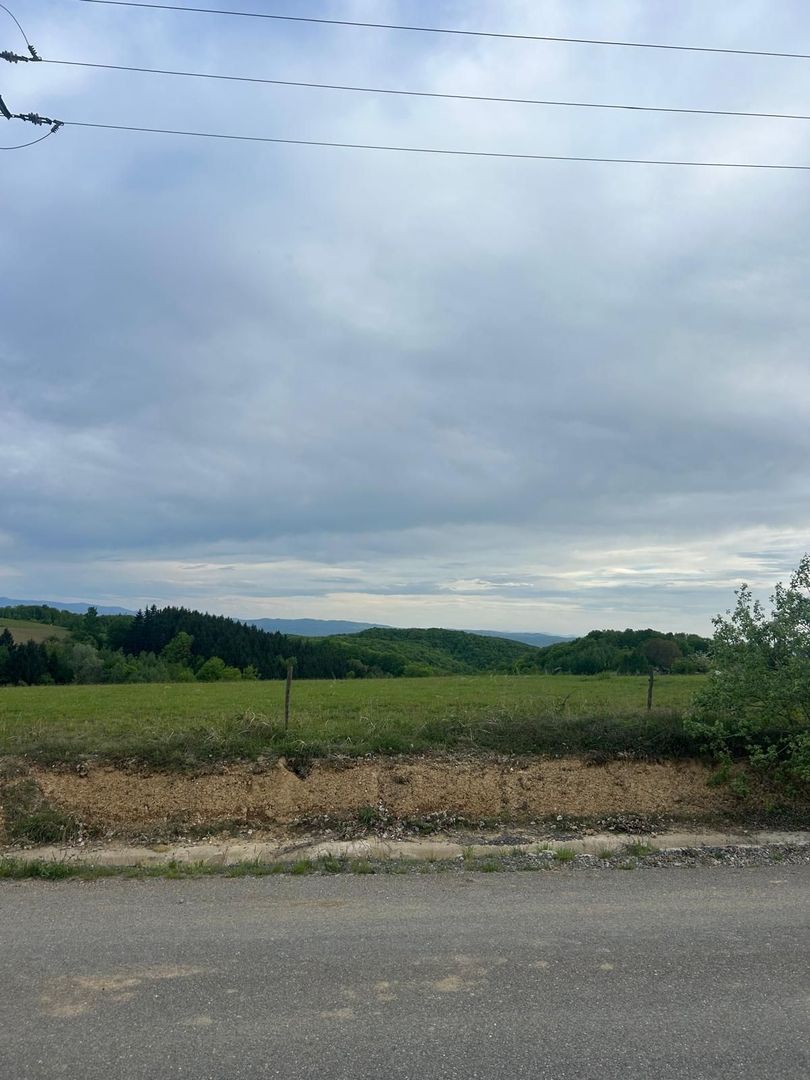 TEREN DE VANZARE IN SINTEU - Poză 3