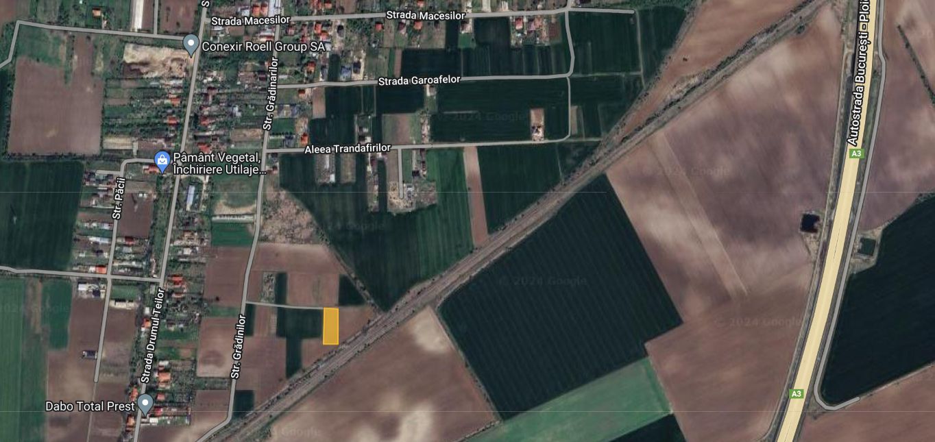 Super oferta! 1500 mp intravilan Caciulati, acces rapid A3 - Poză 4