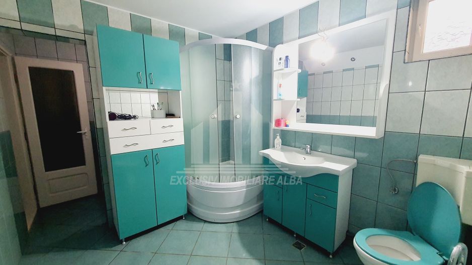 Ferma de vanzare in apropiere de Alba Iulia - Oportunitate de Investitie - Poză 8