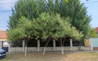 Casă de vânzare – Vladimirescu, județul Arad - Poză 15