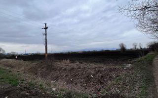 Teren 50000mp Extravilan-Intrare Halchiu-Cod 5235 - Poză 5