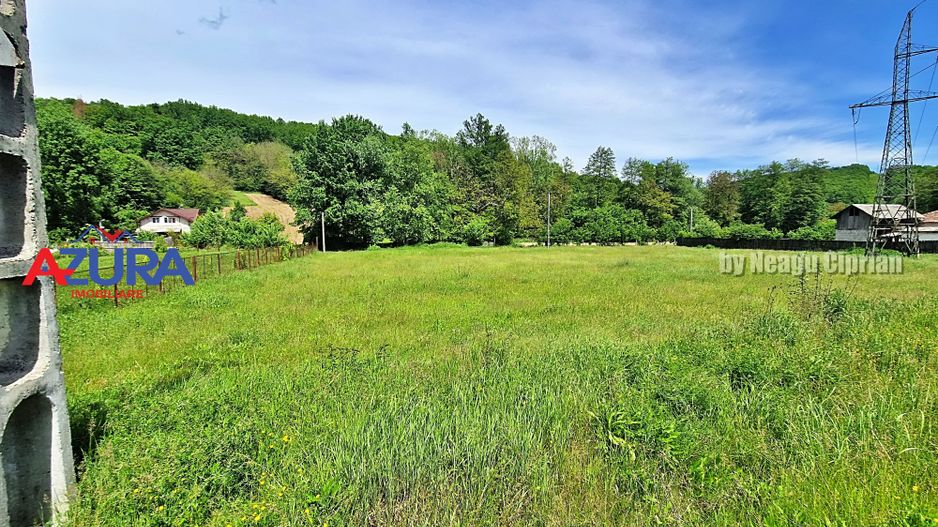 AZURA Imobiliare - Teren Babana Central la Asfalt - Poză 6