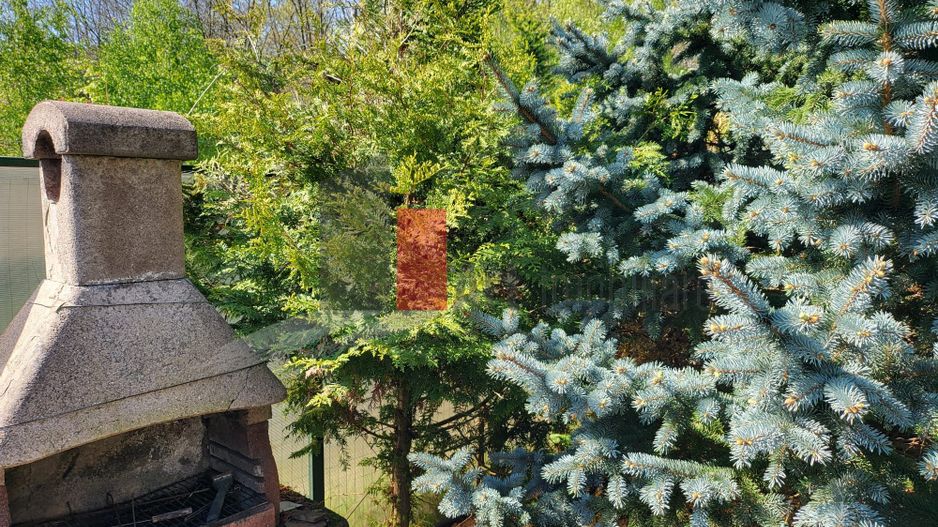 Silistea Snagovului | Casa de vis | Locatia de vis - Poză 13