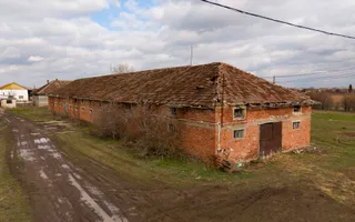 Fermă cu teren intravilan de 35000 mp în Mișca - Poză 22