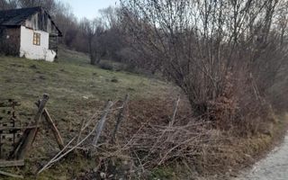 TEREN INTRAVILAN 5461 MP, BUGHEA DE JOS, ARGES - Poză 4